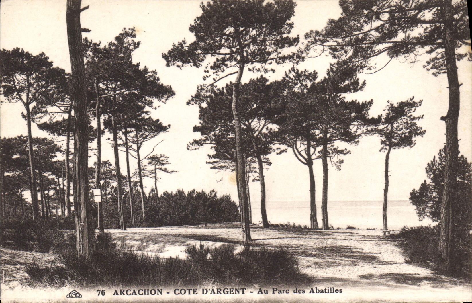 CPA Arcachon Cote d'Argent au parc des Abatilles 