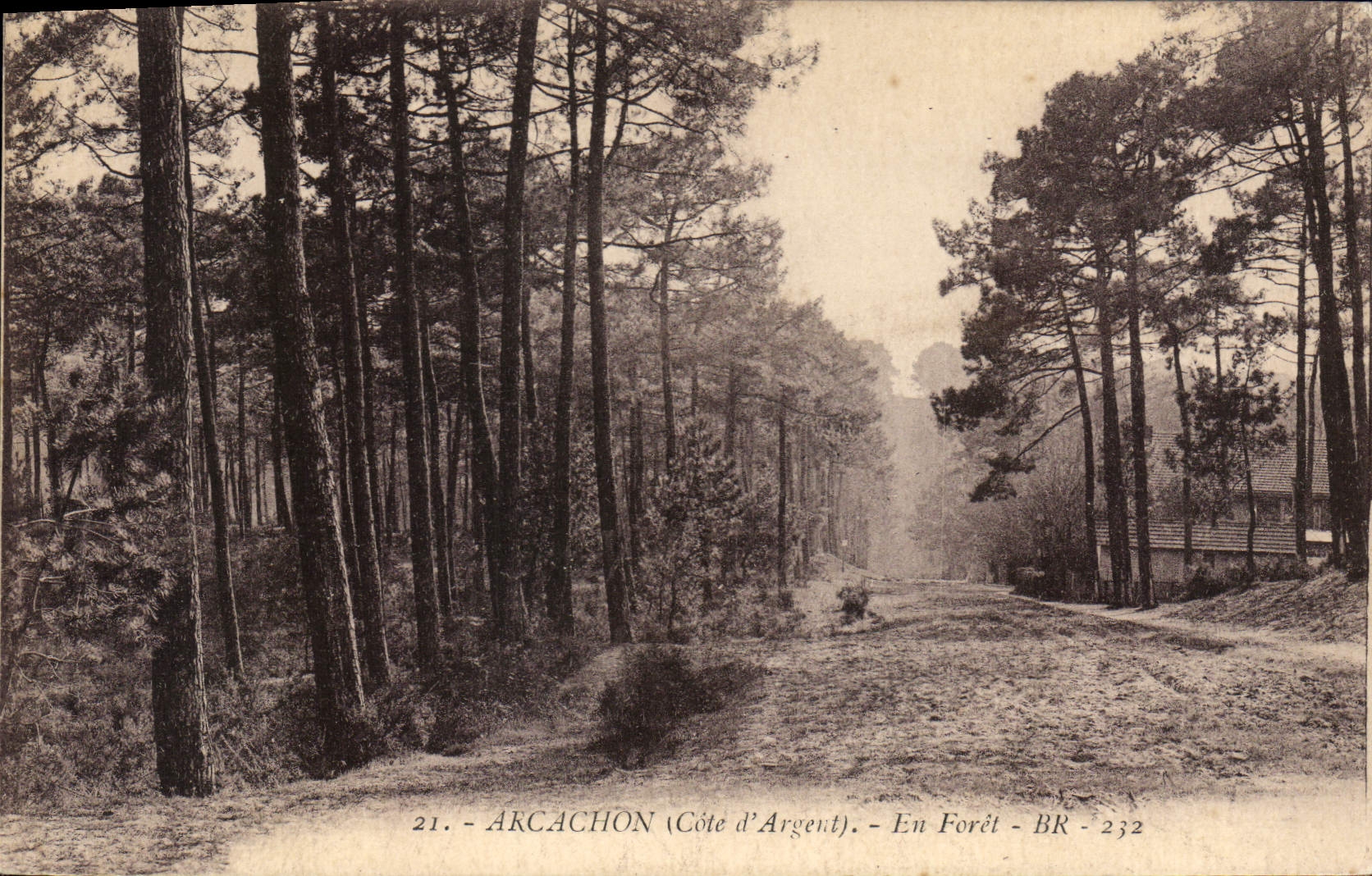 Arcachon (Côte d'Argent) — En Forêt — BR - 232