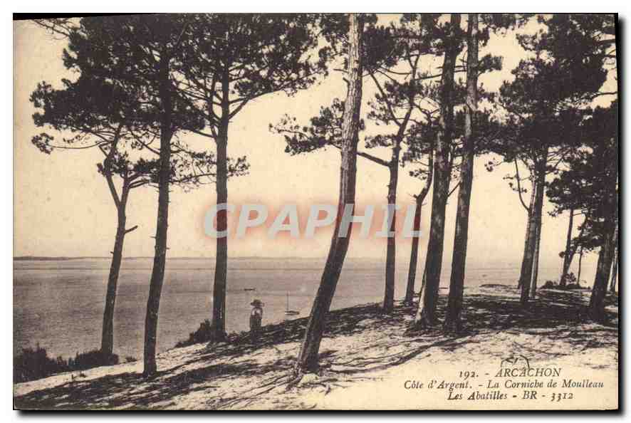Arcachon - La Corniche de Moulleau - Les Abatilles - BR - 3312