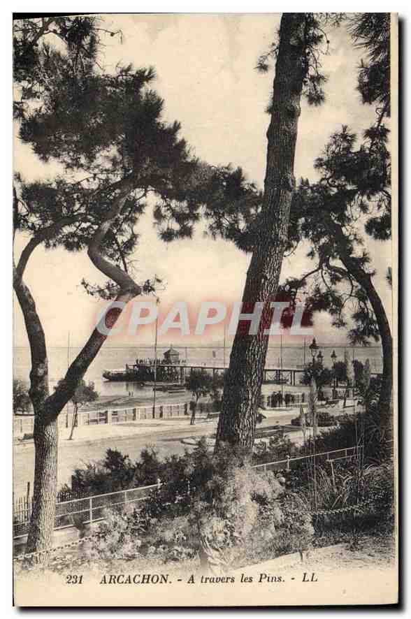 Arcachon — À travers les Pins — LL, n°231