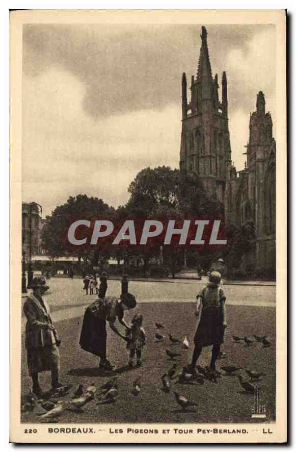 CPA Bordeaux les Pigeons et Tour Pey Berland 