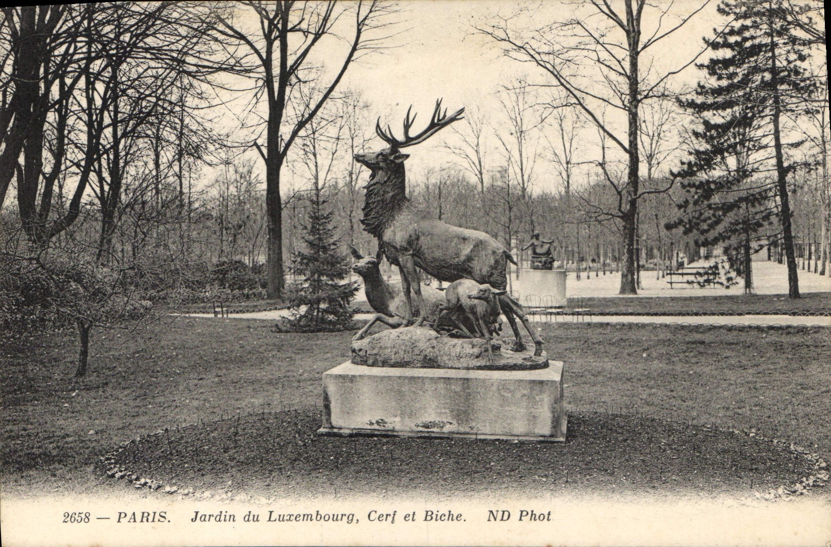CPA Paris Jardin du Luxembourg Cerf et Biche 