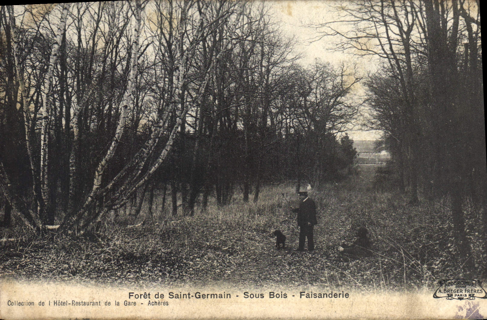 CPA Foret de Saint Germain Sous Bois Faisanderie 