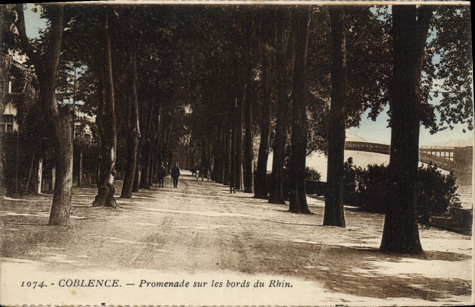 CPA Coblence Promenade sur les Bords du Rhin 
