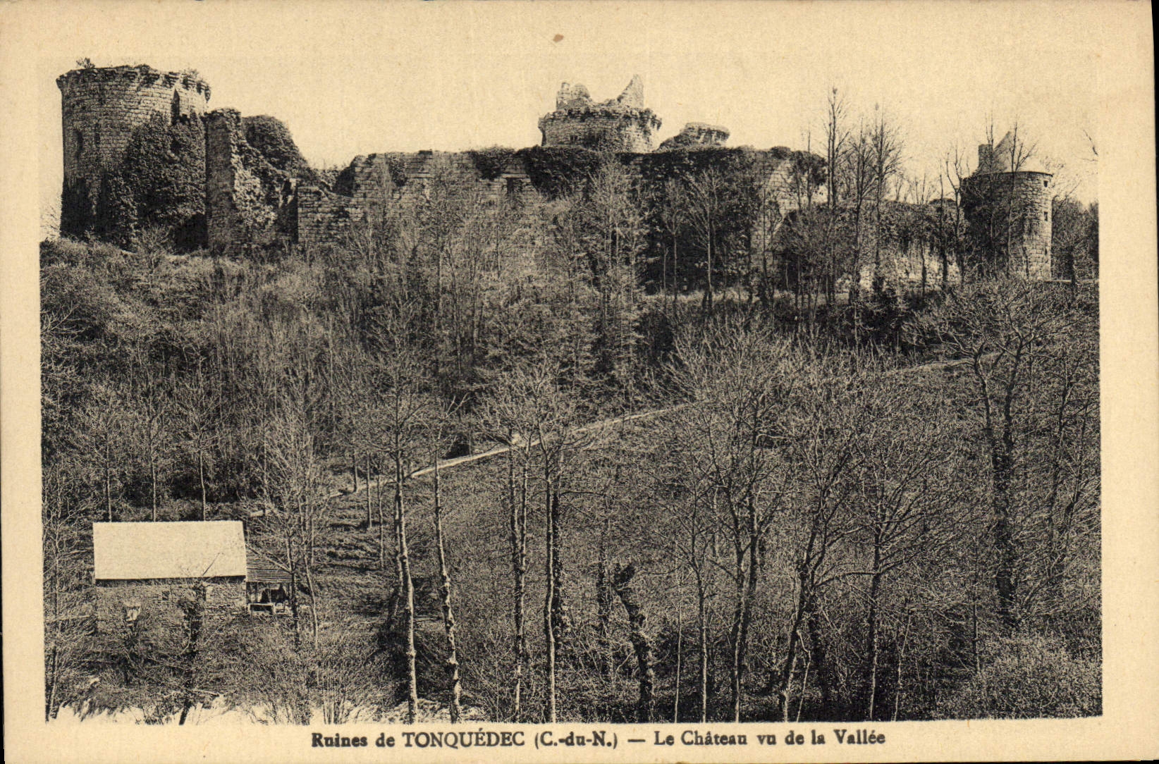 Ruines de TONQUÉDEC (C.-du-N.) — Le Château vu de la Vallée