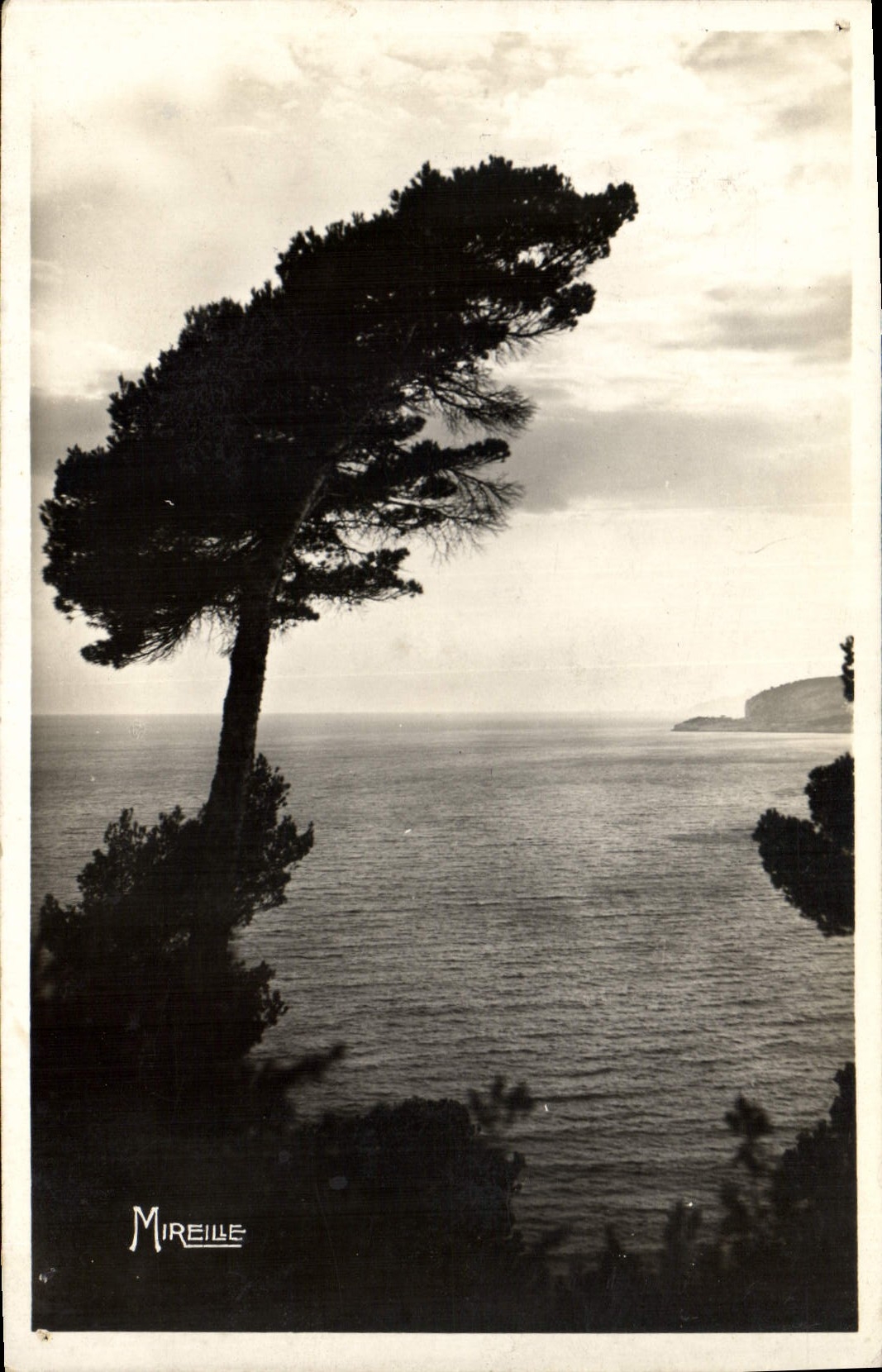 Cassis-sur-Mer — Vue sur la Baie — Mireille