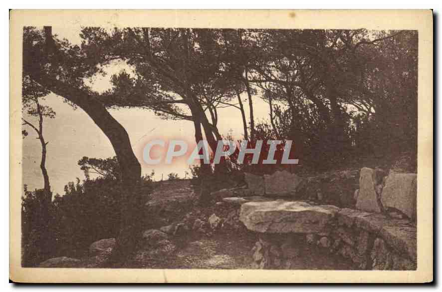 CPA Cassis sur Mer (B du Rh) Les Roches Blanches Hotel Restaurant Tea Room