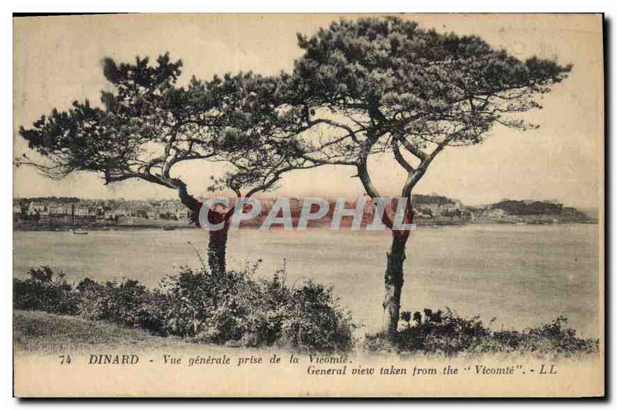 CPA Dinard Vue generale prise de la Vicomte