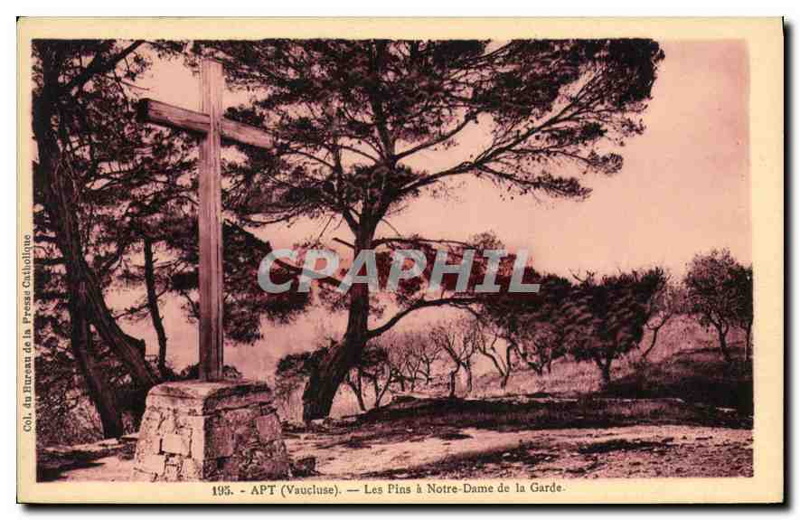 CPA Apt (Vaucluse) Les Pins a Notre Dame de la Garde