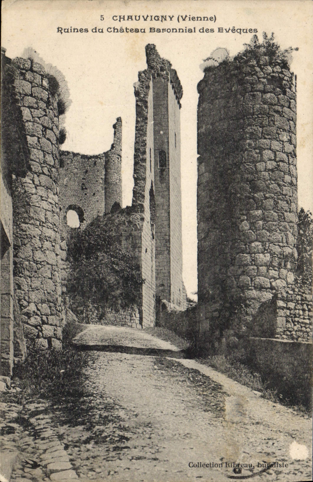 Chauvigny (Vienne) — Ruines du Château Baronial des Évêques — Collection Ribreau, bucardiste
