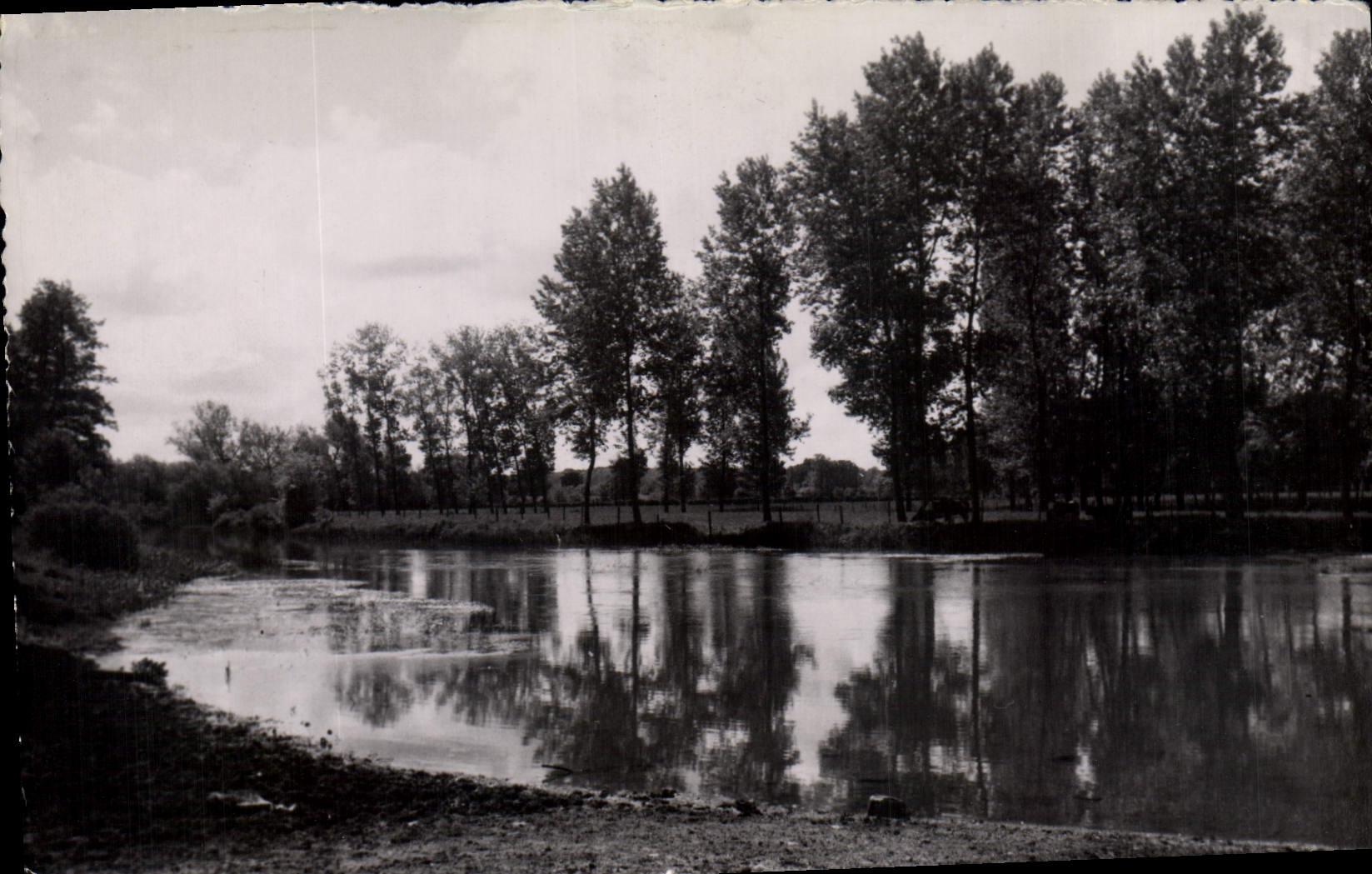 CPA Aisy sur Armancon (Yonne) Bords de l'Armancon