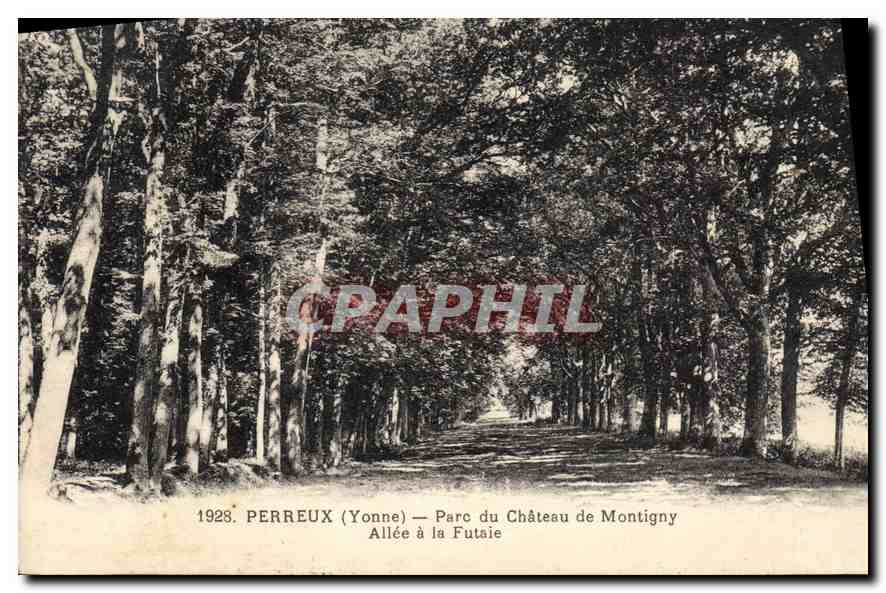 Perreux (Yonne) — Parc du Château de Montigny — Allée à la Futaie