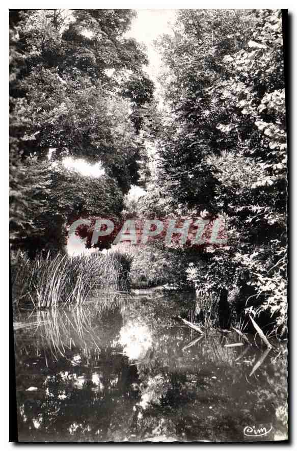Dracy-s-Ouanne (Yonne) — Bords de l'Ouanne — Photographie Véritable