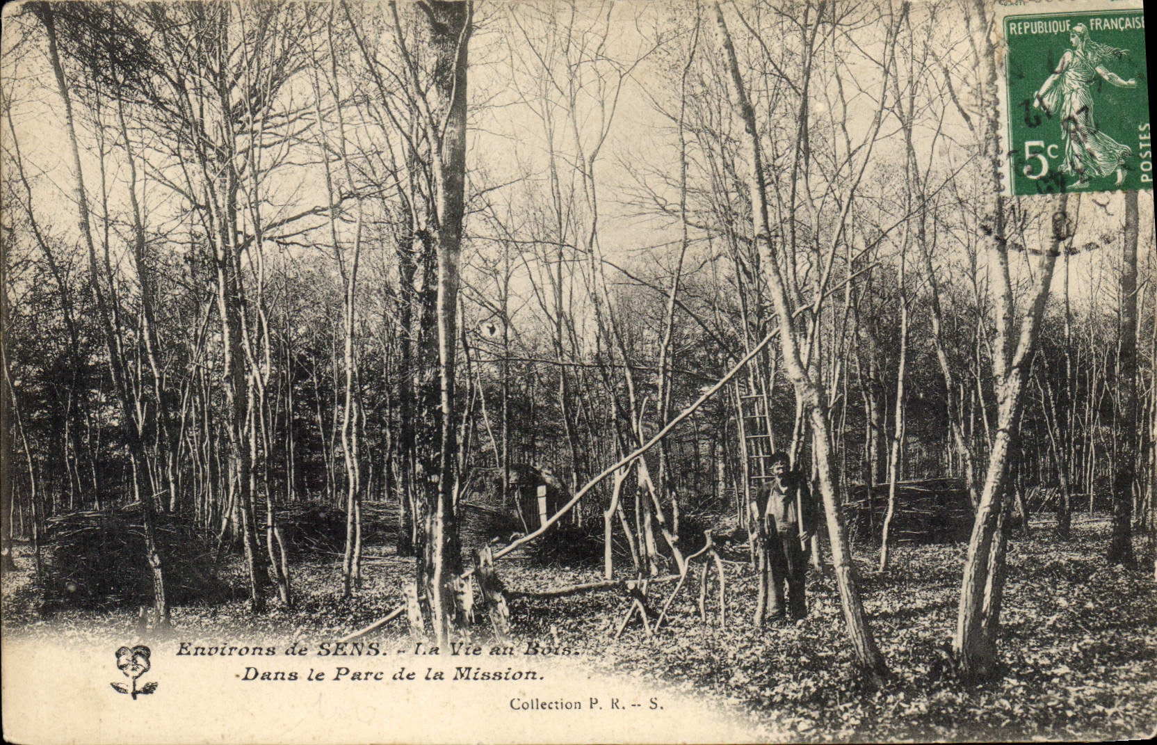 Umgebung von SENS — Leben im Wald — Im Park der Mission — Sammlung P. R. — S.