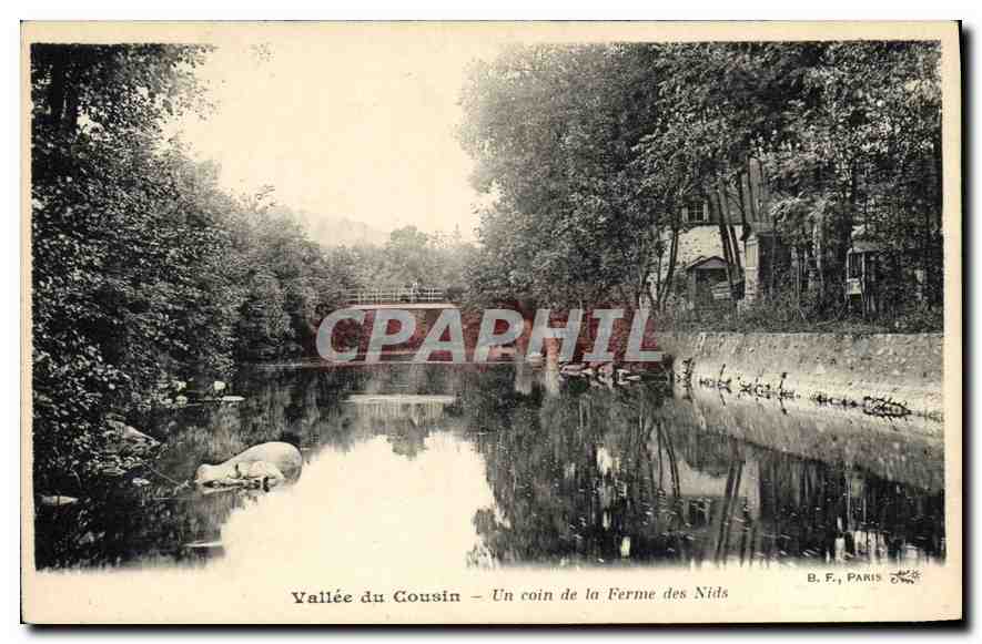 CPA Vallee du Cousin Un coin de la Ferme des Nids 