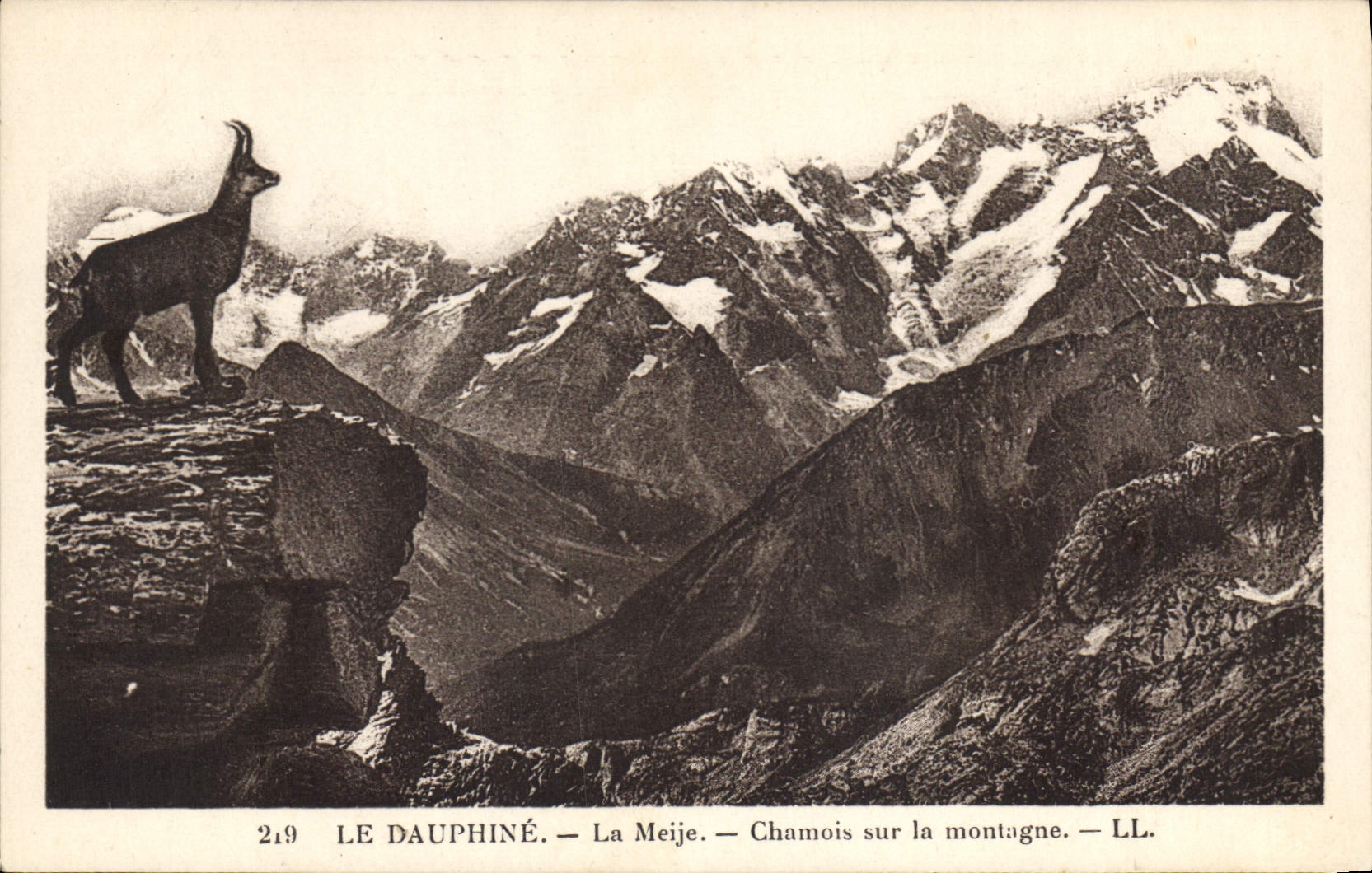 Le Dauphiné — La Meije — Chamois sur la montagne — LL. — N° 219