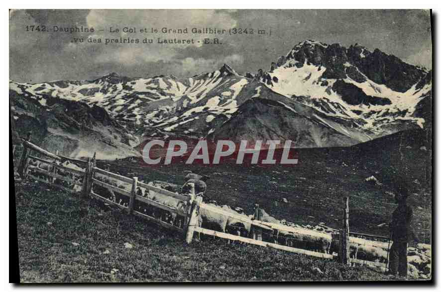 Le Col et le Grand Galibier (3242 m.) — vu des prairies du Lautaret — E.R.