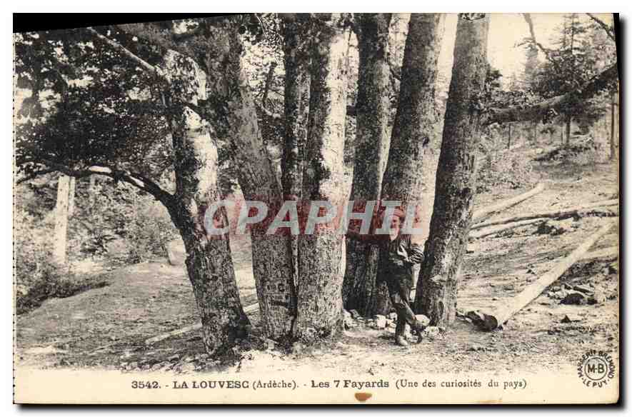 CPA La Louvesc Ardeche Les 7 Fayards Une des curiosites du pays 