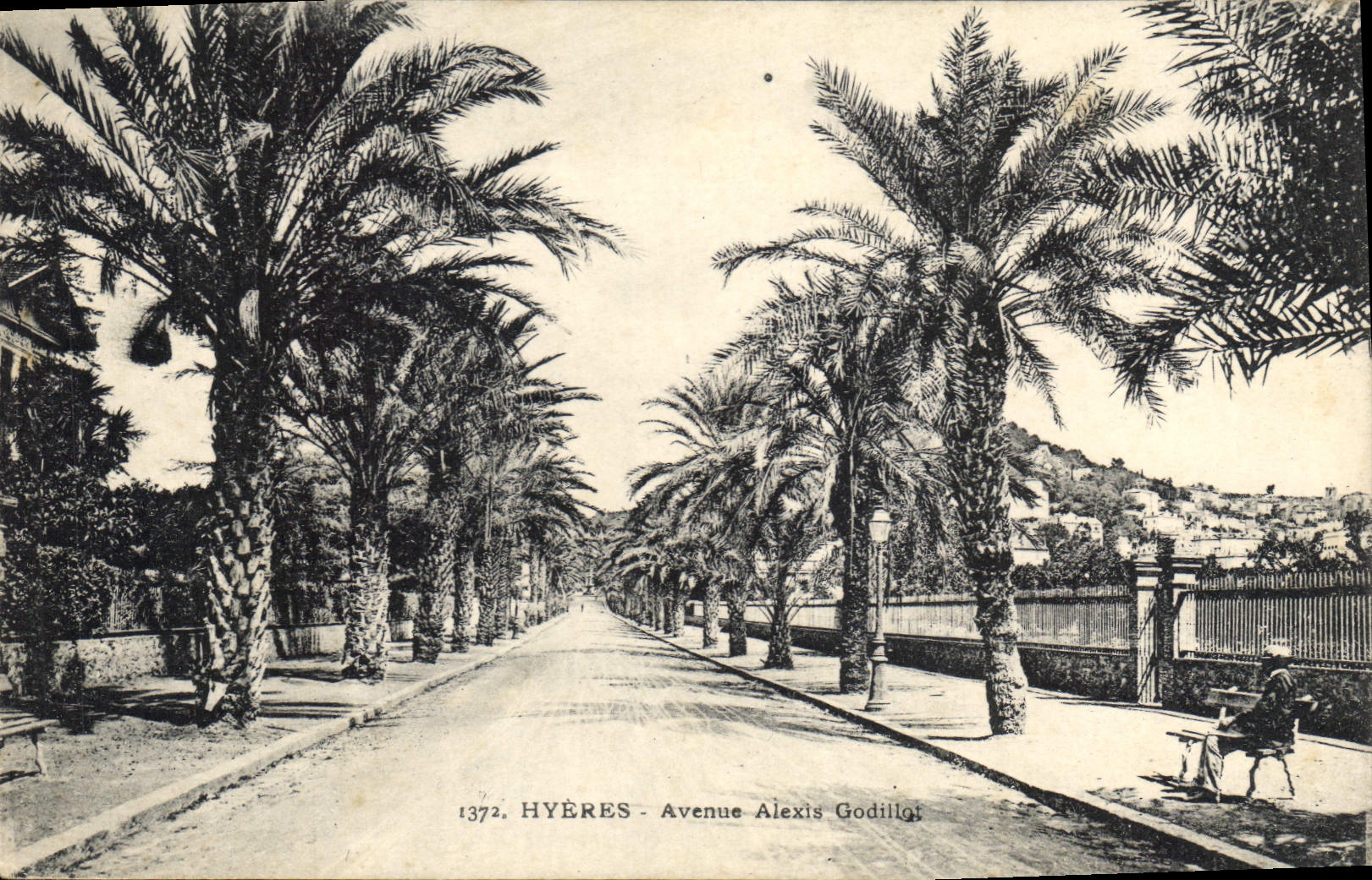 Hyères - Avenue Alexis Godillot — vue d'une avenue ombragée de palmiers — éditeur : Atelier de Phototypie Grande Marseille