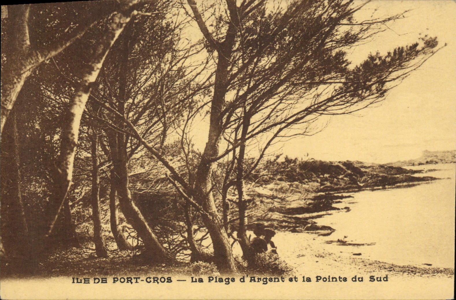 CPA Ile de Port cros La Plage d'Argent et la Pointe du Sud 