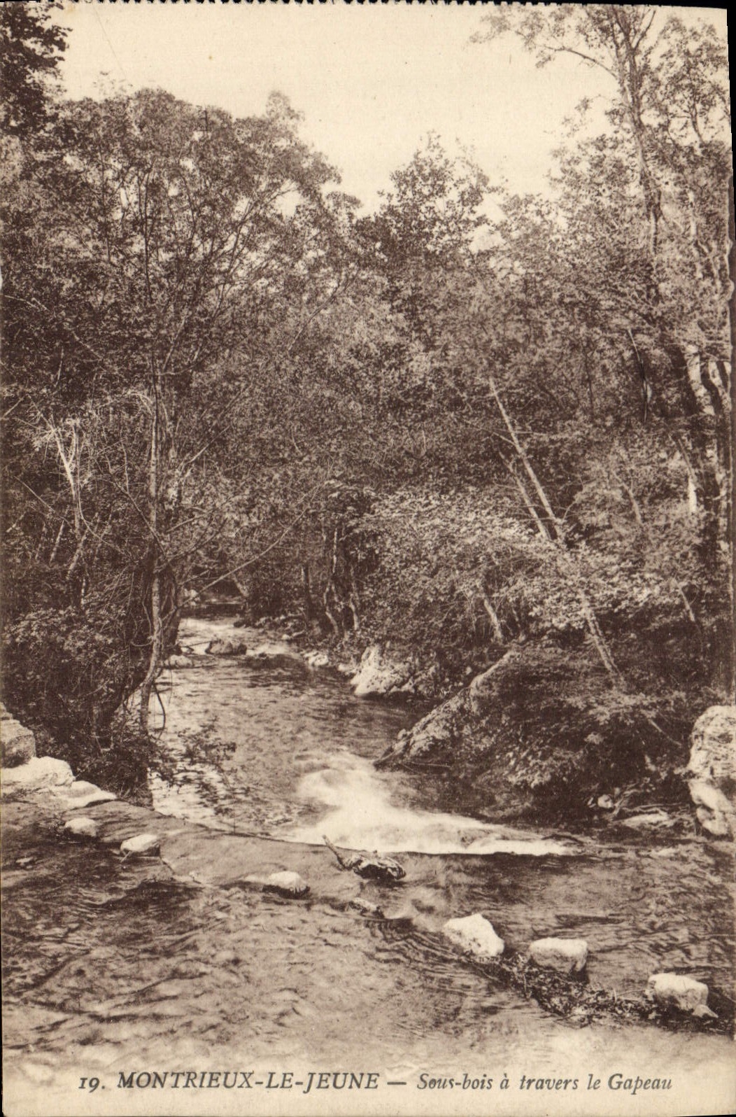 Montrieux-le-Jeune — Sous-bois à travers le Gapeau — n°19