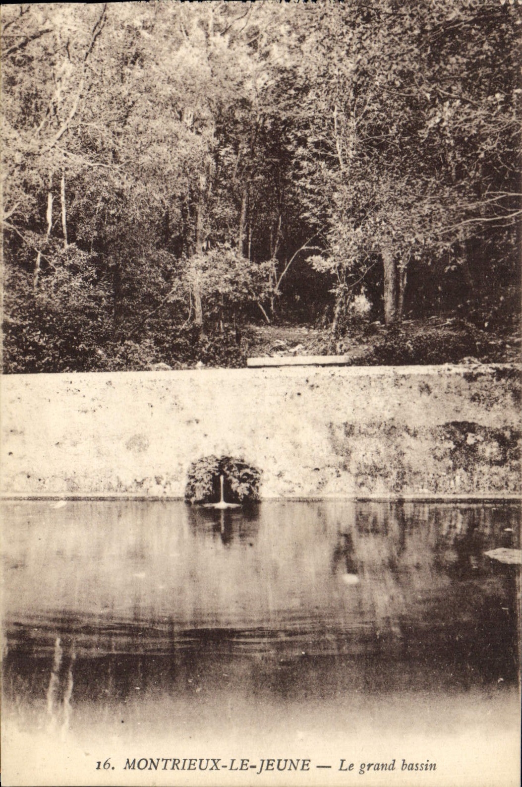 CPA Montrieux Le Jeune Le Grand Bassin 