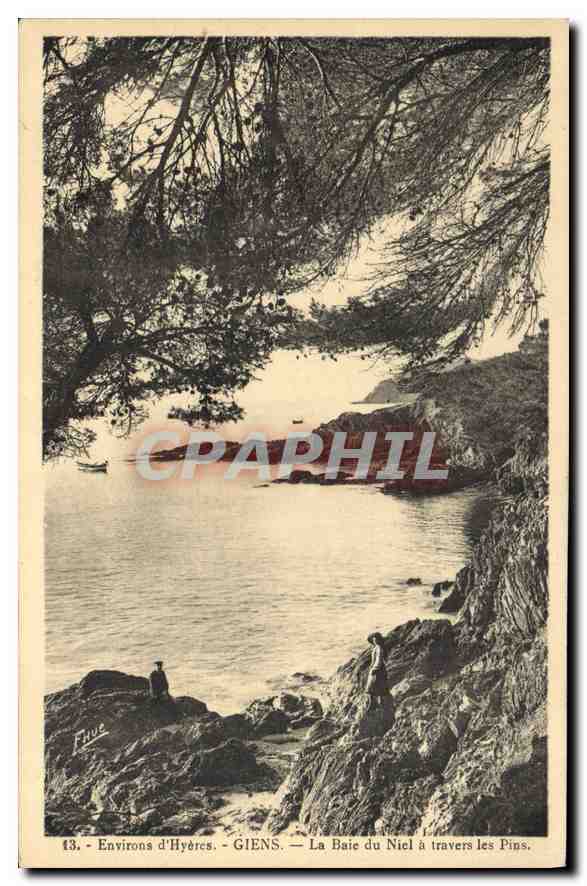 CPA Environs d'Hyeres Giens la Baie du Niel a travers les Pins 