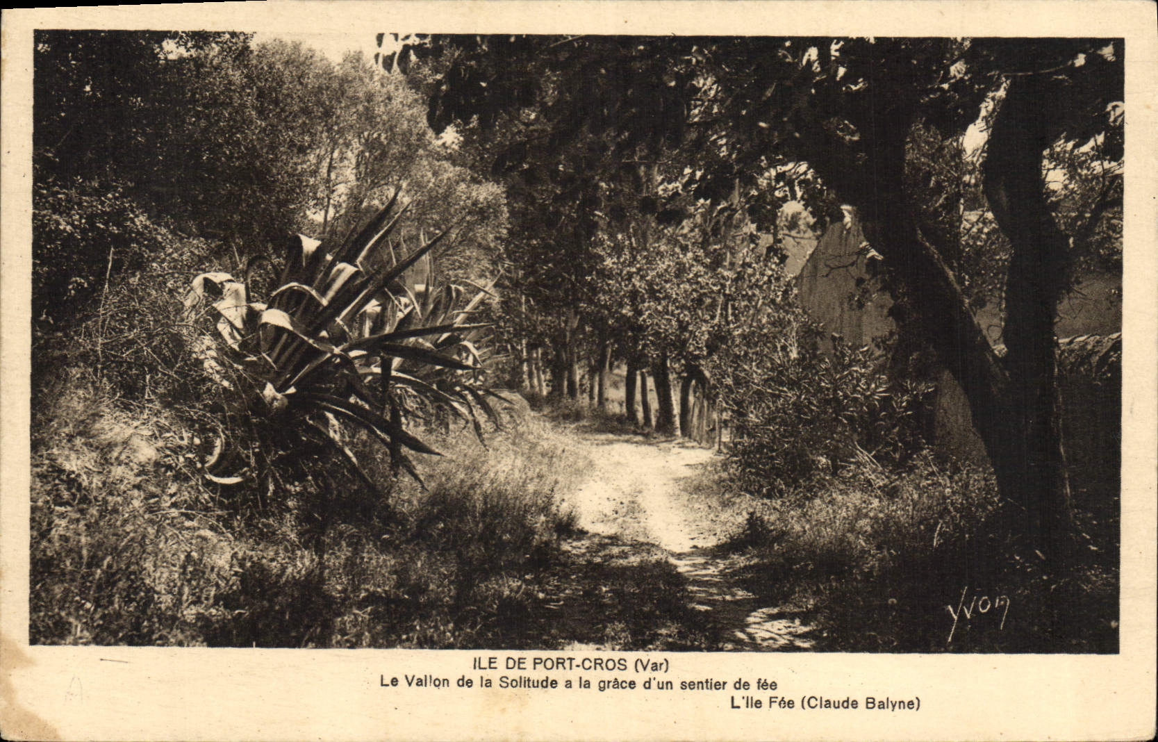 Insel Port-Cros (Var) — Der Tal der Einsamkeit mit der Grazie eines Fabelwesen-Pfades — Claude Balyne