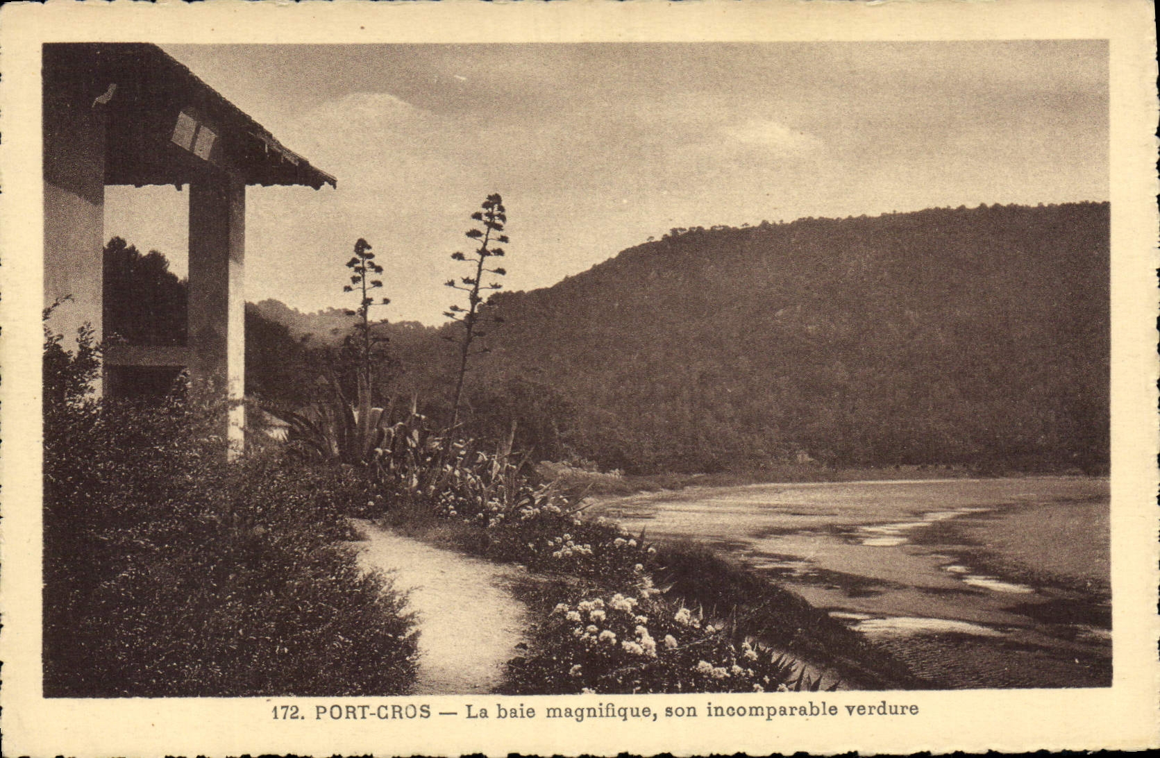 CPA Port Cros la Baie Magnifique son incomparable verdure 