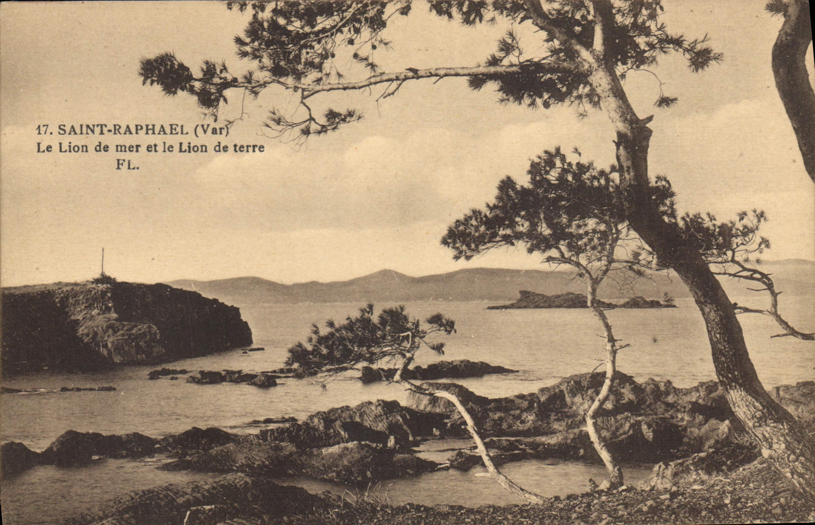 CPA Saint Raphael Var le Lion de mer et le lion de terre 