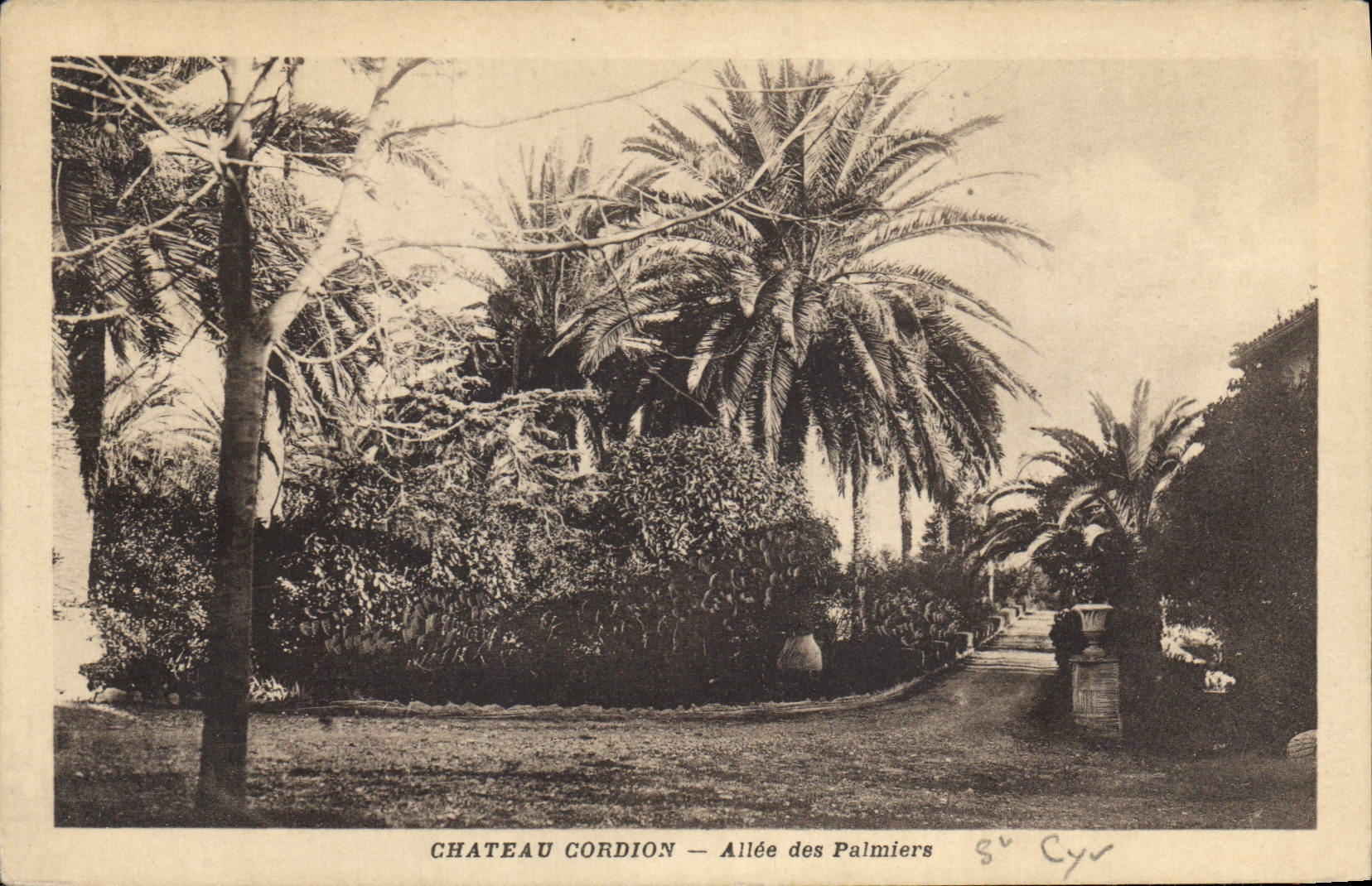 Schloss Cordion — Allée der Palmen — S. Cyr