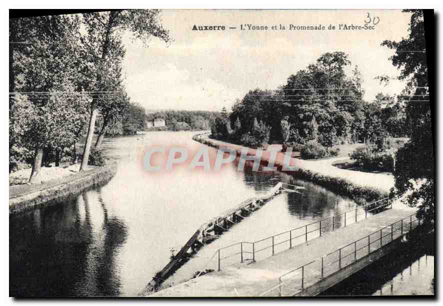 CPA Auxerre l'Yonne et la Promenade de l'Arbre Sec 