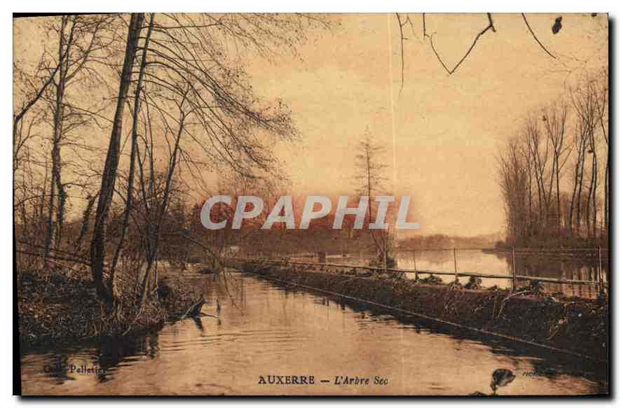 Auxerre — Der Trockene Baum — G. Pelletier