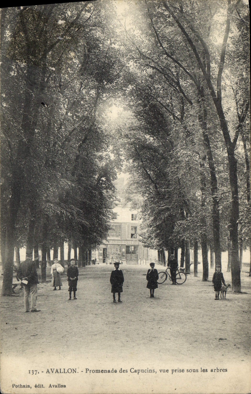 Avallon - Promenade des Capucins - vue prise sous les arbres - Pothain, édit. Avallon