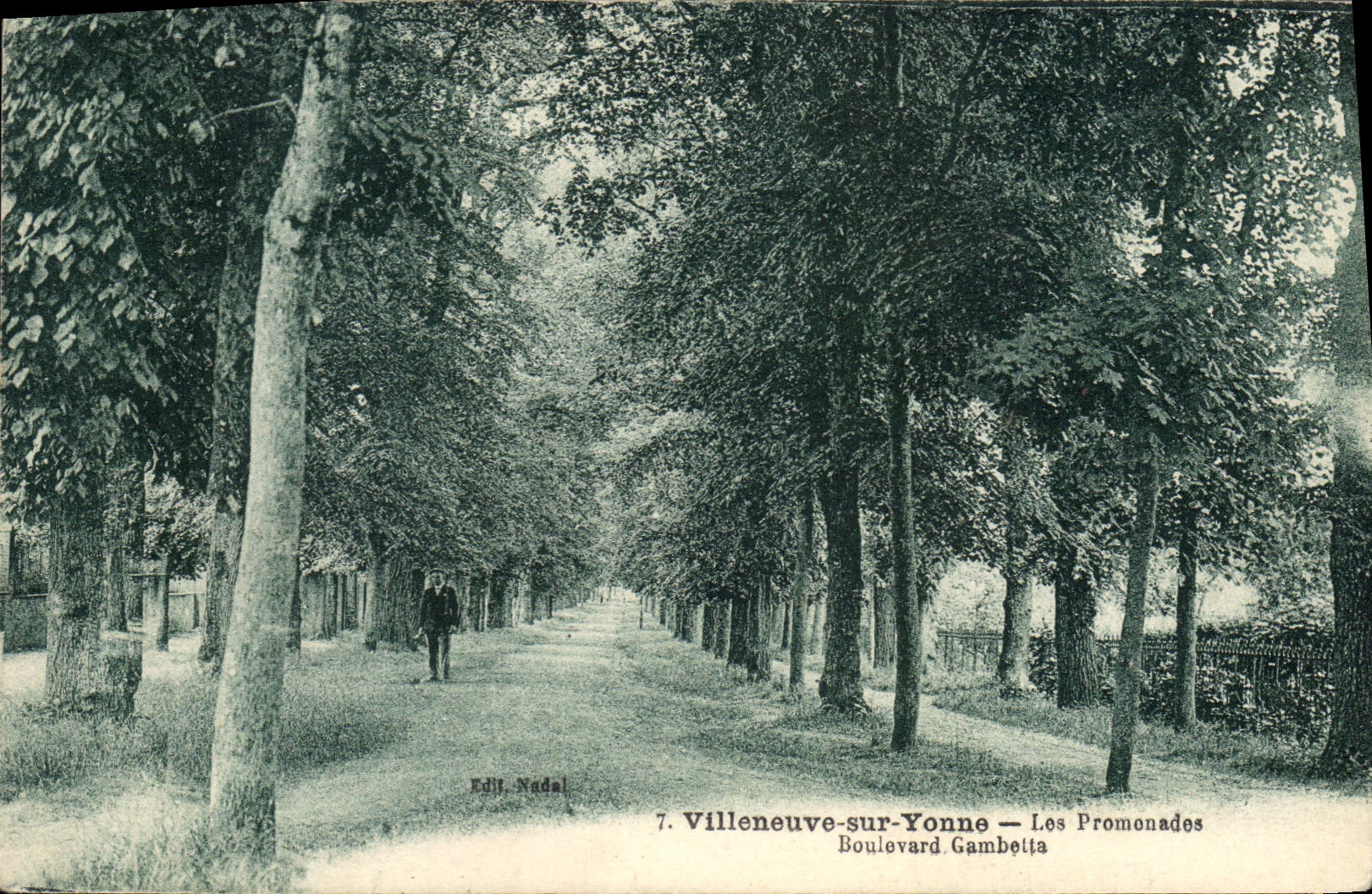Villeneuve-sur-Yonne — De Promenades — Boulevard Gambetta — Edit. Nadal