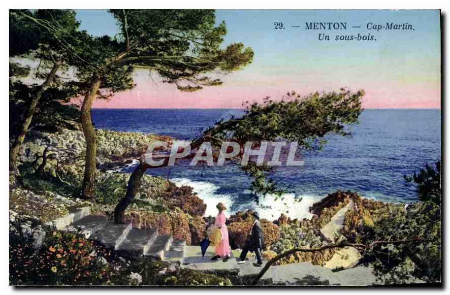 CPA Menton Cap Martin Un sous bois 