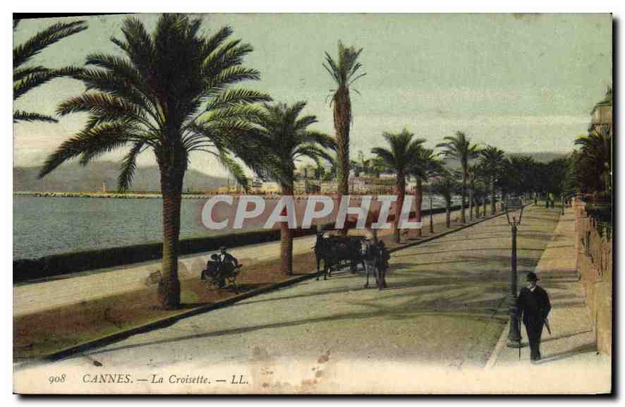 CANNES — La Croisette — LL. — n° 908