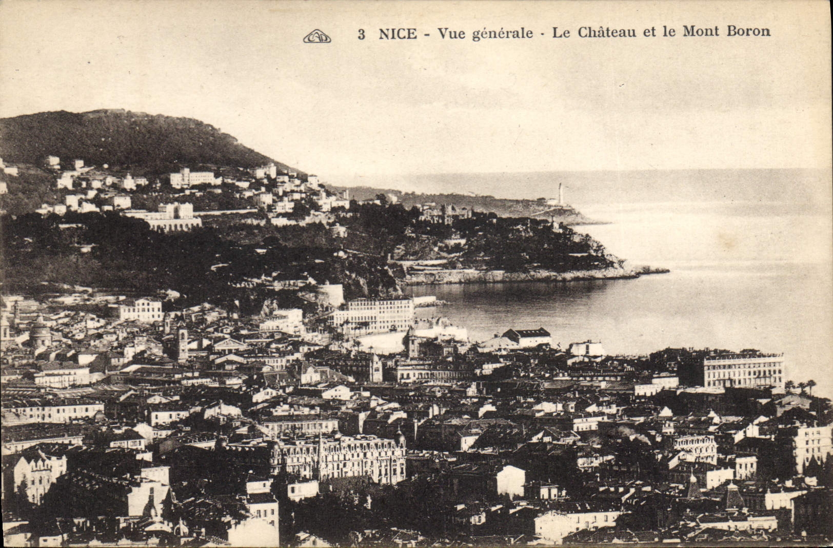 CPA Nice Vue generale Le Chateau et le Mont Boron 