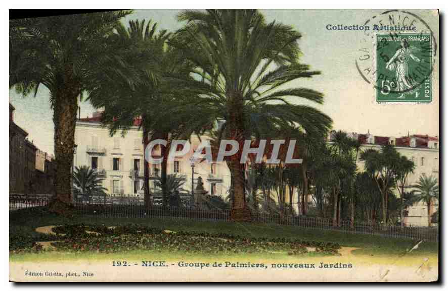CPA Nice Groupe de Palmiers nouveaux Jardins 