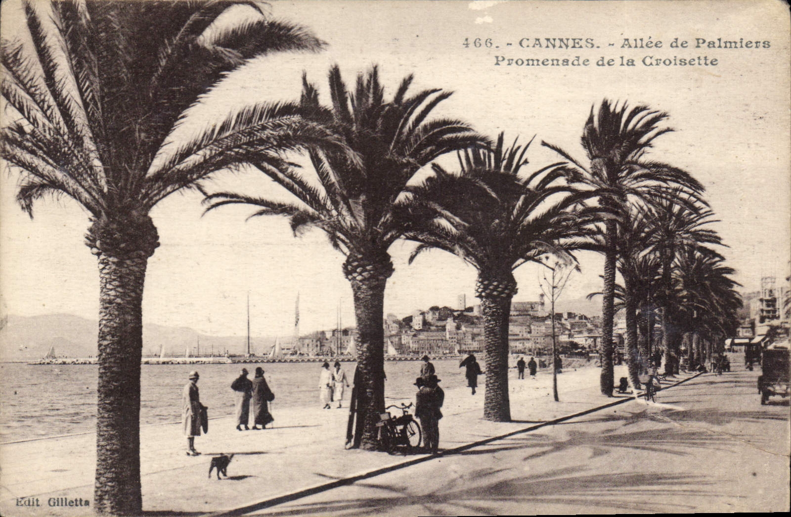 CPA Cannes Allee de Plamiers Promenade de la Croisette 