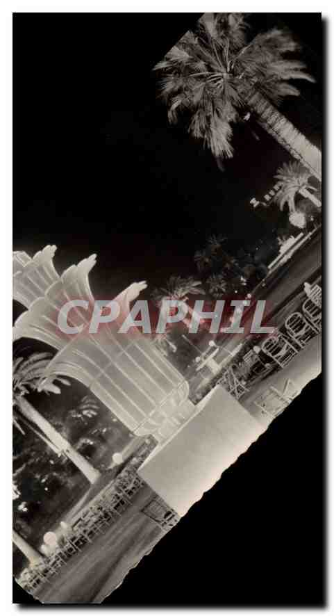 CPA Nice le nuit Jardins Albert illumines 