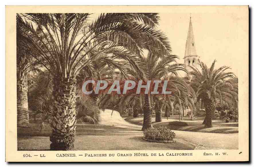 CPA Cannes Palmiers du Grand Hotel de la Californie 