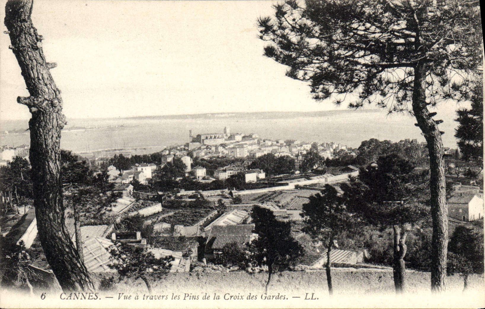 CPA Cannes Vue a travers les Pins de la Croix des Gardes 