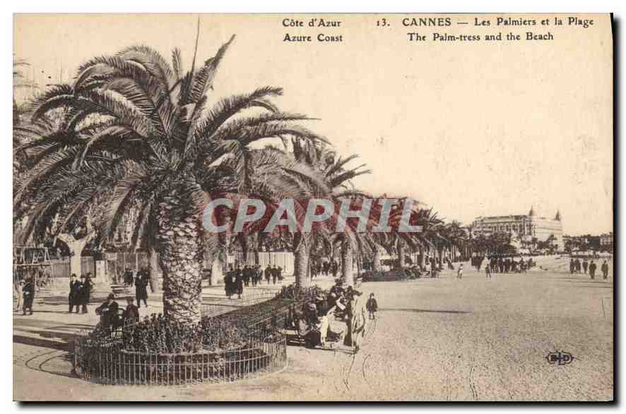 CPA Cote d'Azur Cannes Les Palmiers et la Plage 