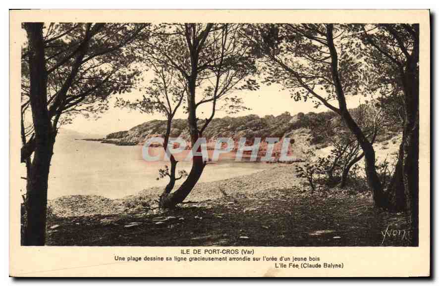 Ile de Port-Cros (Var) — plage au bord d'un jeune bois — Claude Balyne
