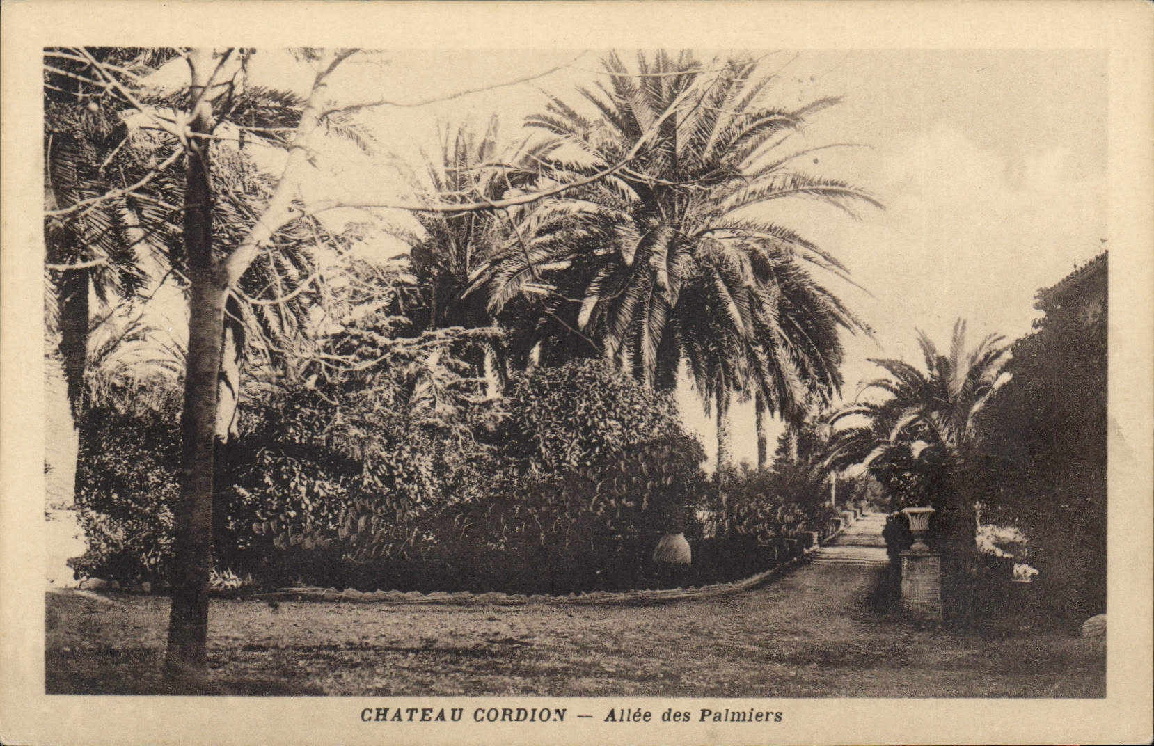 CPA Chateu Cordion Allee des Palmiers 