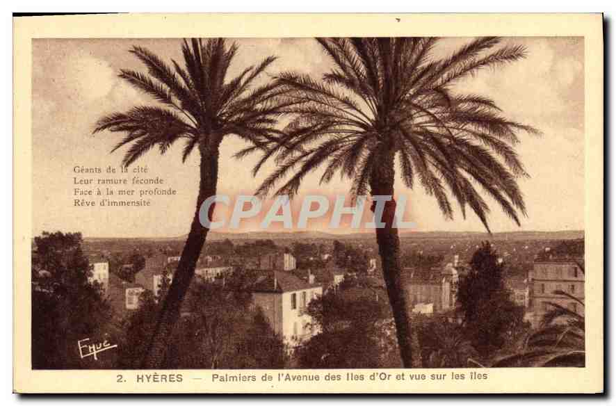 CPA Hyeres Palmiers de l'Avenue des Iles d'Or et vue sur les iles 