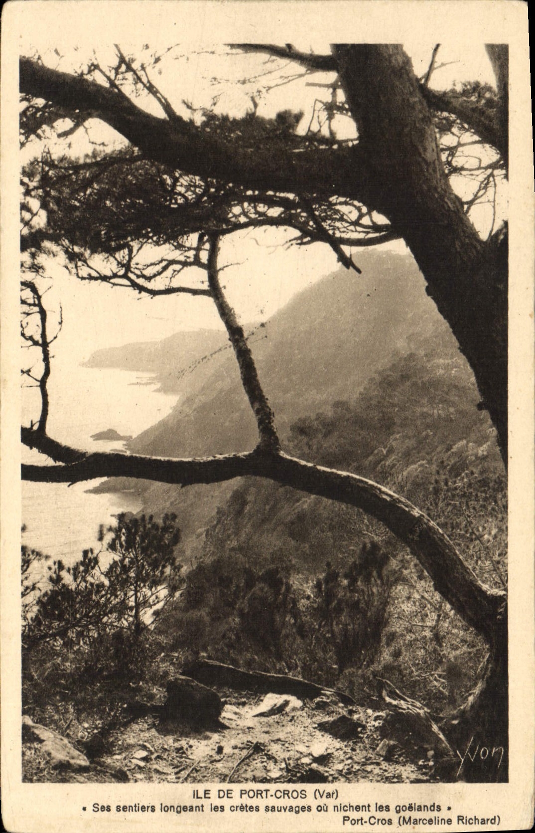 Ile de Port-Cros (Var) — Sentiers longeant les crêtes sauvages où nichent les goélands — Marceline Richard