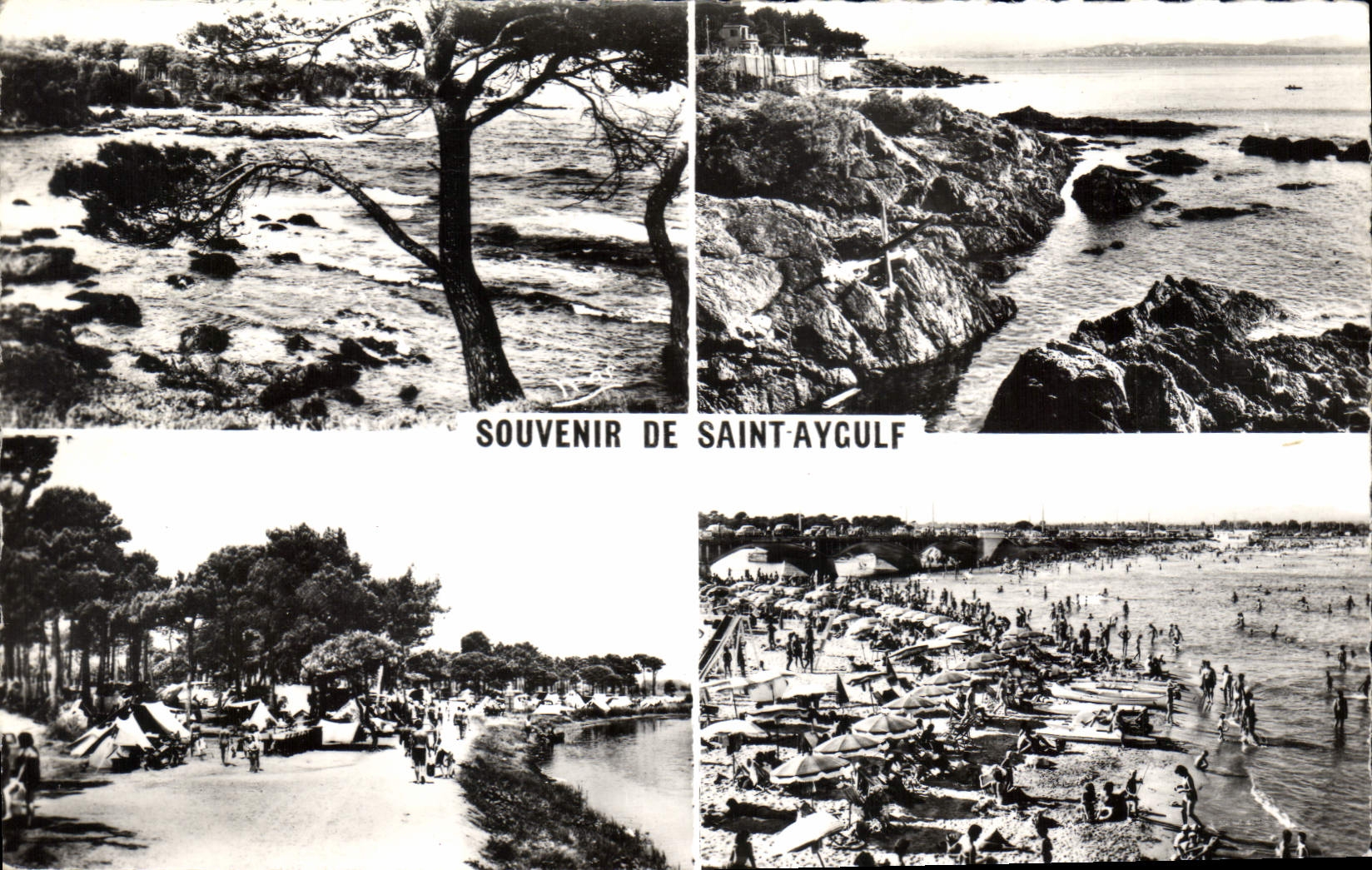 CPA La Cote d'Azur Souvenir de Saint Aygulf Var 