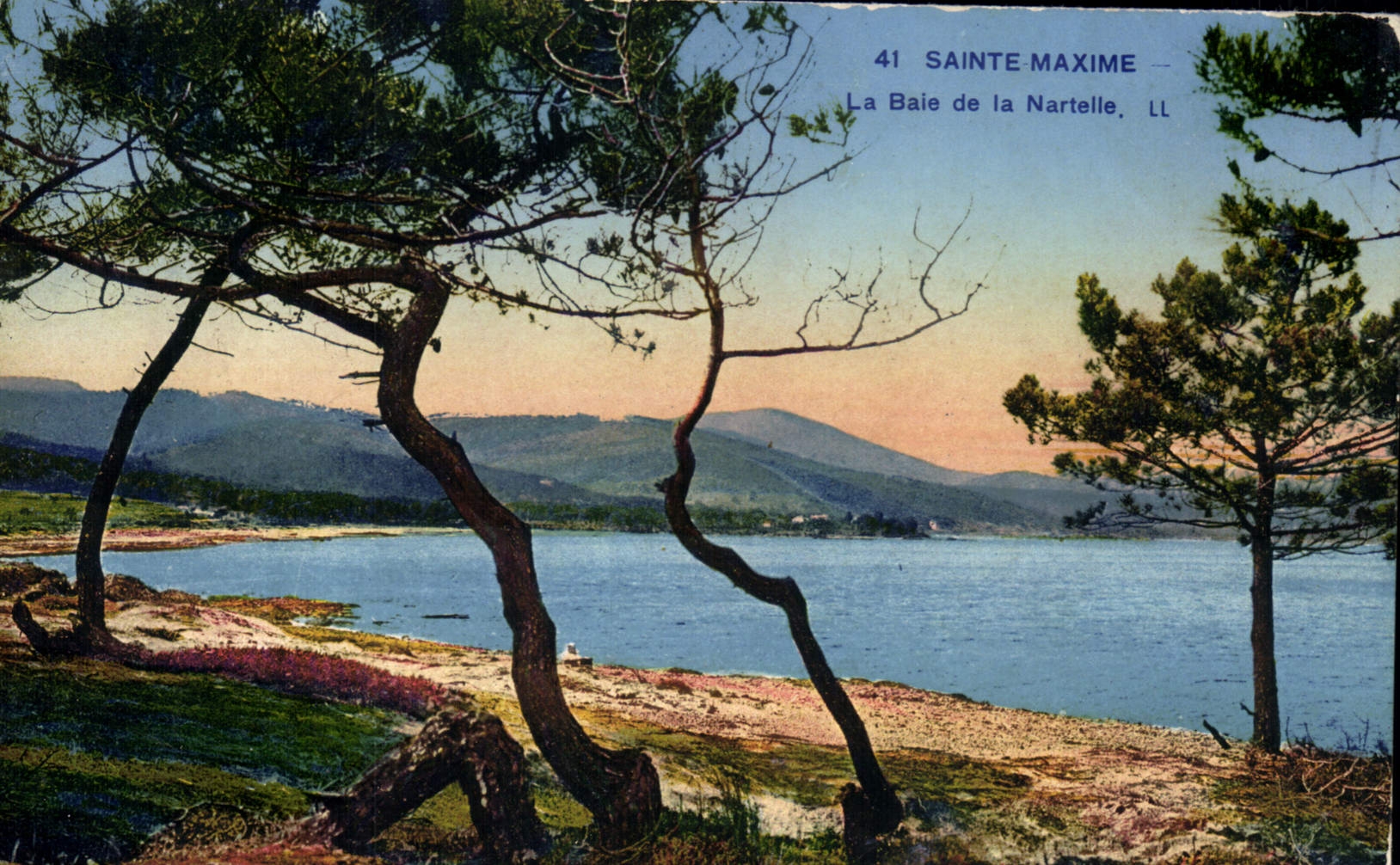 CPA Sainte Maxime La Baie de la Nartelle 